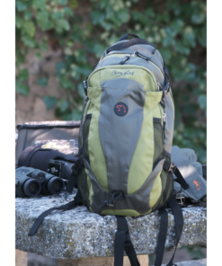 Complementos y Accesorios