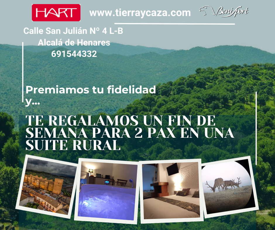 premio suite rural